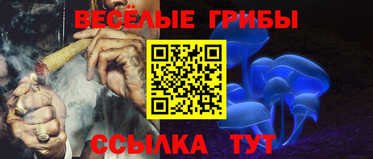 Галлюциногенные грибы Psilocybine cubensis  Вход с VPN  Новочебоксарск 